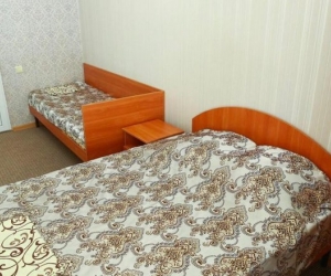2-местный стандартный